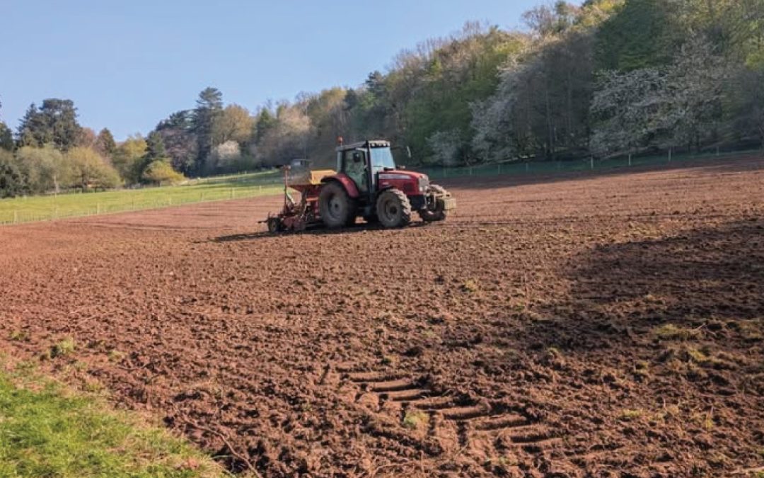 Sowing the Yearly Crop
