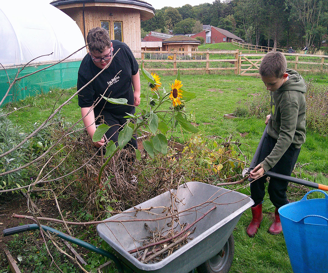 Pictured are Frankie and Jordan helping to clear the dead branches.