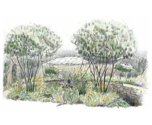 A drawn design of the artisan garden, designed by Austin Design Works in collaboration with Ruskin Mill Trust for the Badminton RHS Flower Show